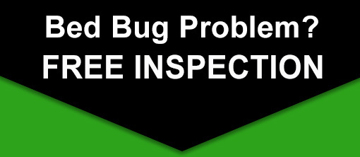 Free-Bed-Bug-Inspection Free-Bed-Bug-Inspection